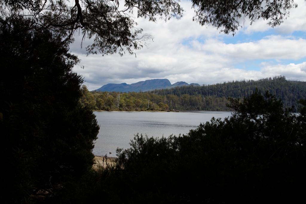 19 - Lake St Clair NP (8).jpg